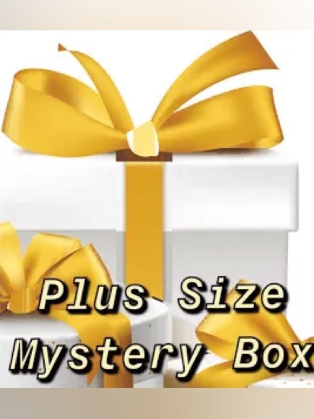 Plus Women mystery Bundle Size 18, 20, 22, & 24, ( 5 items $30.00) pre owned